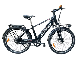 Xe đạp điện Sallway Strong 02/24